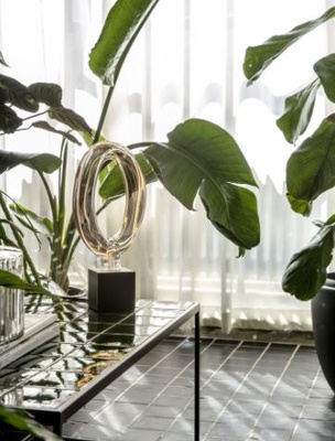 XXL SPECIAL ORGANIC RADA LED BULBS